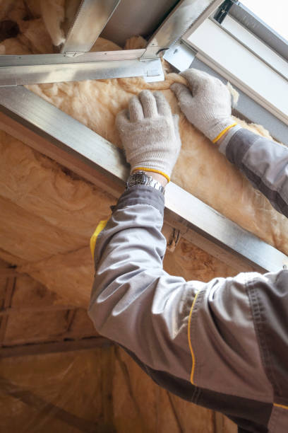 Best Pipe and Duct Insulation  in Rancho Santa Margarita, CA