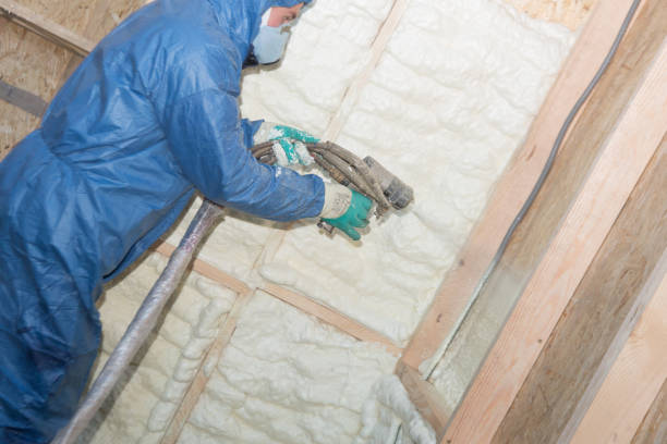 Best Commercial Insulation Services  in Rancho Santa Margarita, CA